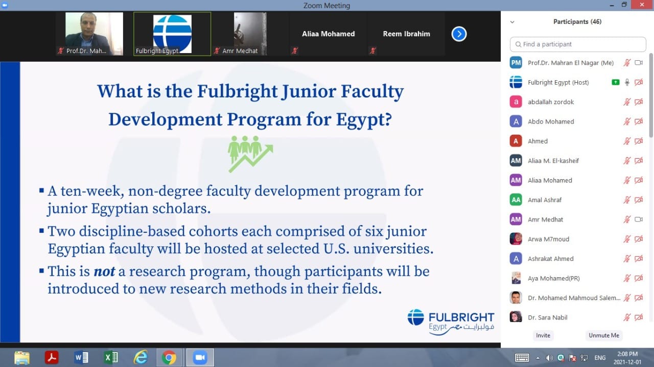 Junior Faculty Development Program online information session